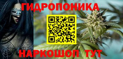 гидра Тверь