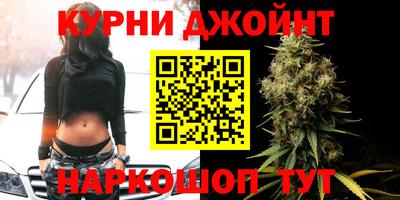гидра Тверь