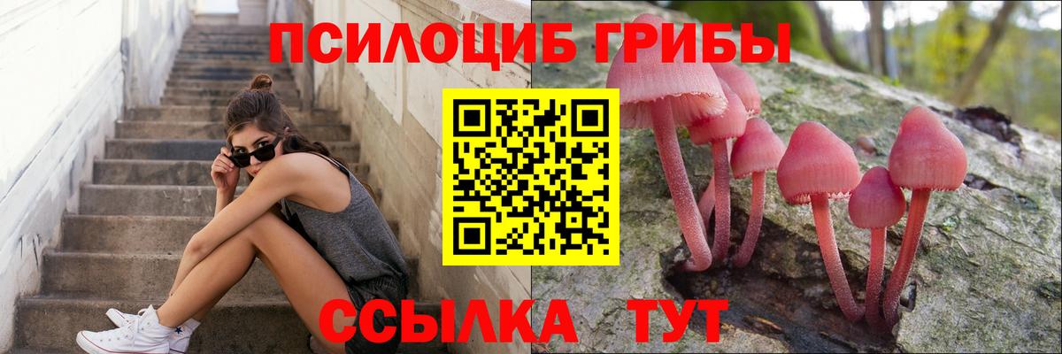 Алексеевка  Псилоцибиновые грибы MAGIC MUSHROOMS  Вход с VPN 